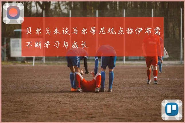 贝尔戈米谈马尔蒂尼观点称伊布需不断学习与成长