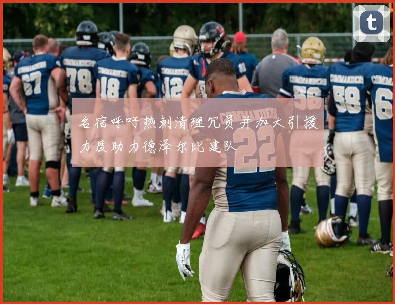 名宿呼吁热刺清理冗员并加大引援力度助力德泽尔比建队