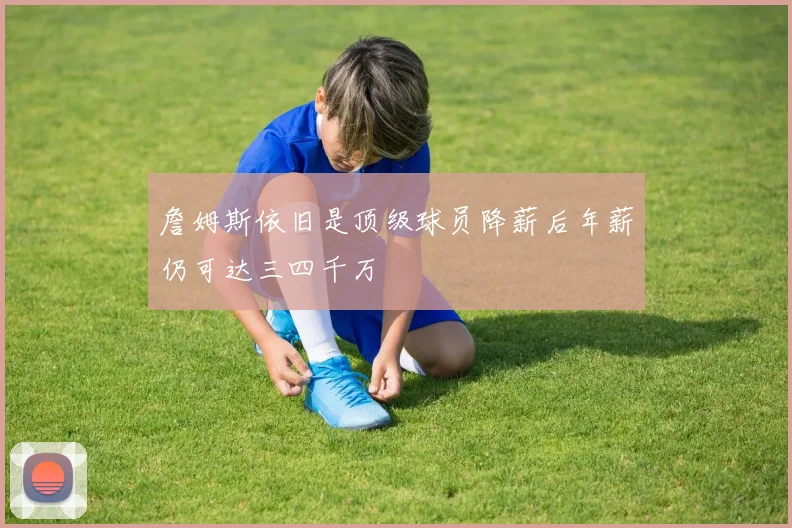 詹姆斯依旧是顶级球员降薪后年薪仍可达三四千万
